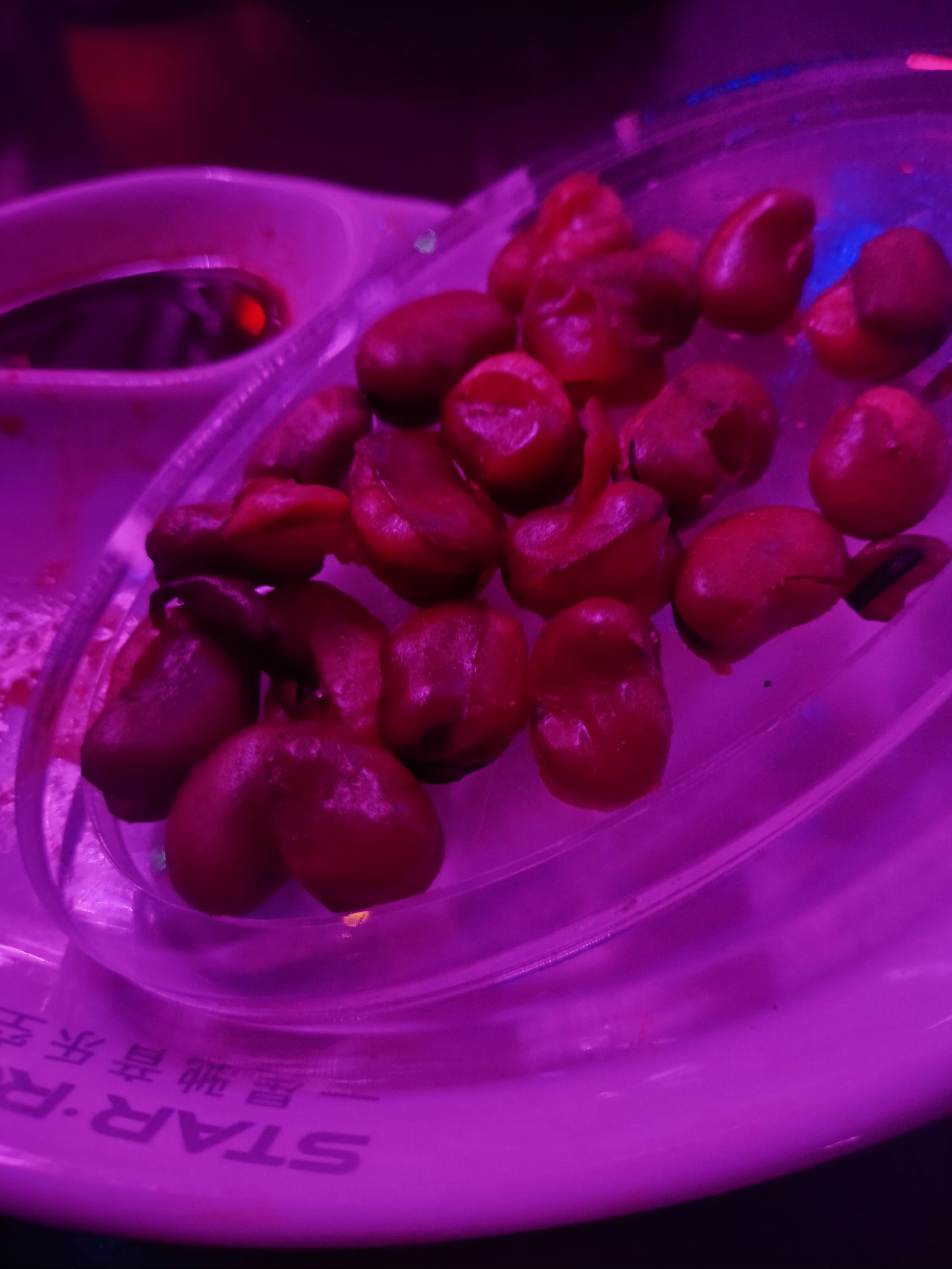 本溪商务ktv精彩体验-明山区ktv预订